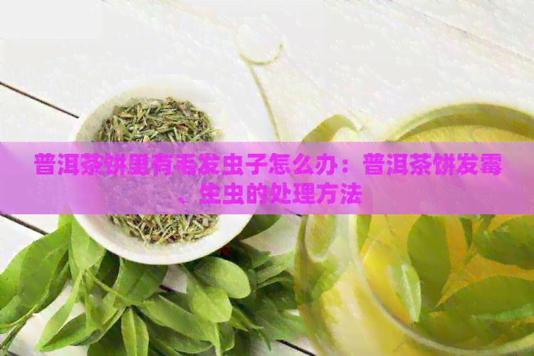 普洱茶饼里有毛发虫子怎么办：普洱茶饼发霉、生虫的处理方法