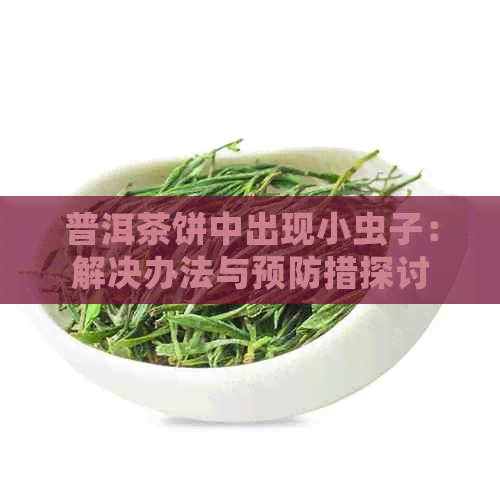 普洱茶饼中出现小虫子：解决办法与预防措探讨