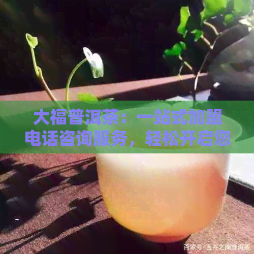 大福普洱茶：一站式加盟电话咨询服务，轻松开启您的茶业事业