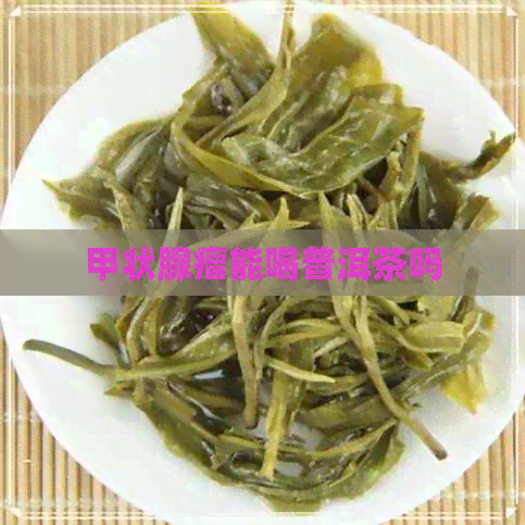 甲状腺瘤能喝普洱茶吗