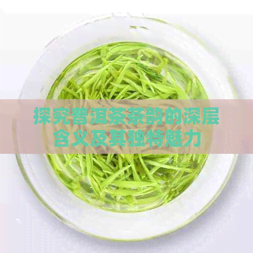 探究普洱茶茶韵的深层含义及其独特魅力