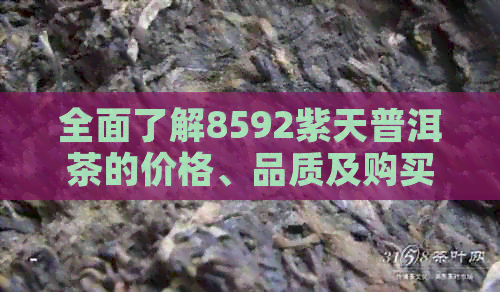 全面了解8592紫天普洱茶的价格、品质及购买渠道，解答您的所有疑问