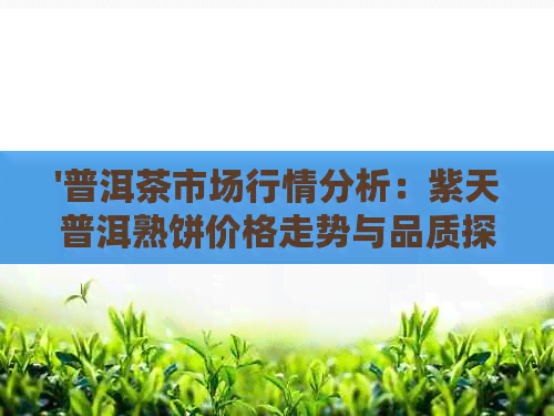 '普洱茶市场行情分析：紫天普洱熟饼价格走势与品质探讨'