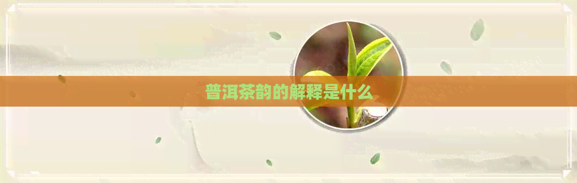 普洱茶韵的解释是什么