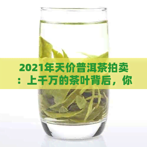 2021年天价普洱茶拍卖：上千万的茶叶背后，你不可不知的关键因素和市场趋势