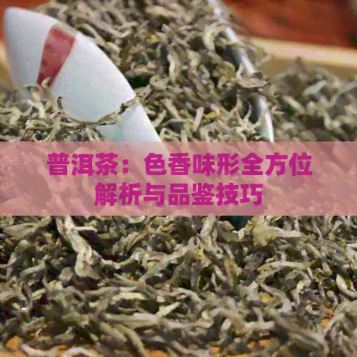 普洱茶：色香味形全方位解析与品鉴技巧