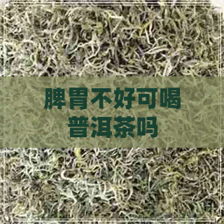 脾胃不好可喝普洱茶吗