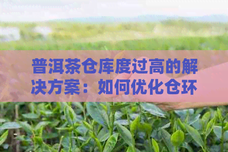 普洱茶仓库度过高的解决方案：如何优化仓环境以保持茶叶品质？