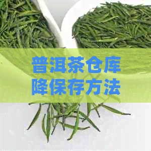 普洱茶仓库降保存方法：全方位指南，确保茶叶品质与安全