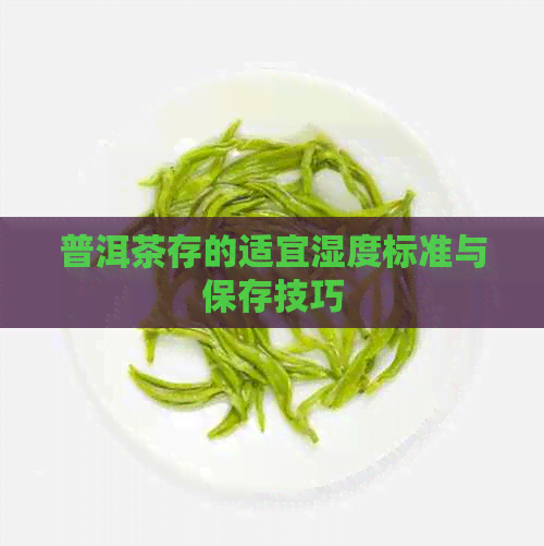 普洱茶存的适宜湿度标准与保存技巧