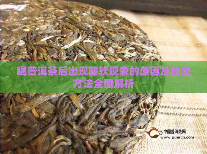 喝普洱茶后出现腿软现象的原因及解决方法全面解析