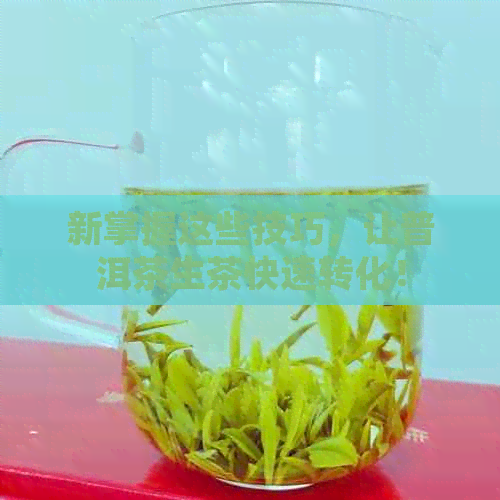 新掌握这些技巧，让普洱茶生茶快速转化！