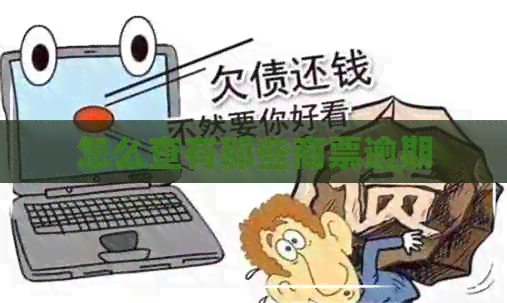 怎么查有那些商票逾期