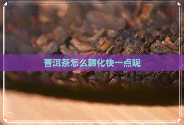 普洱茶怎么转化快一点呢