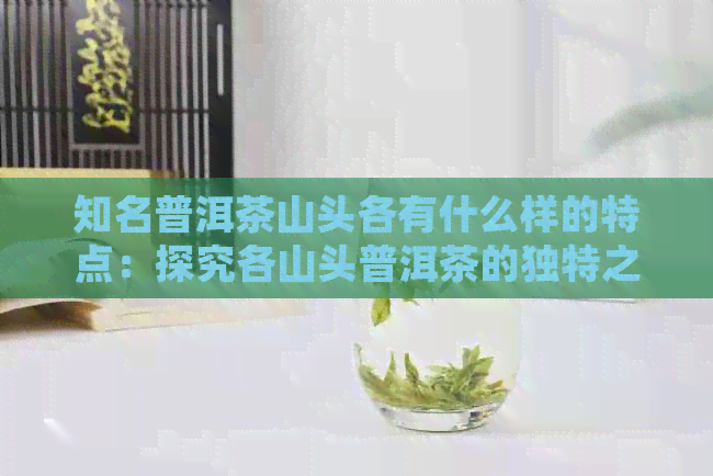 知名普洱茶山头各有什么样的特点：探究各山头普洱茶的独特之处