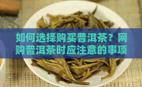 如何选择购买普洱茶？网购普洱茶时应注意的事项与推荐