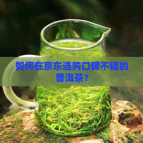 如何在京东选购口碑不错的普洱茶？