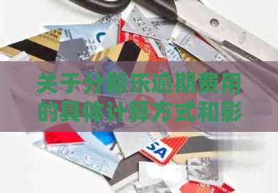 关于逾期费用的具体计算方式和影响程度分析