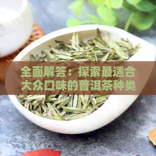 全面解答：探索最适合大众口味的普洱茶种类与品质