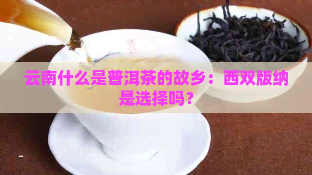 云南什么是普洱茶的故乡：西双版纳是选择吗？