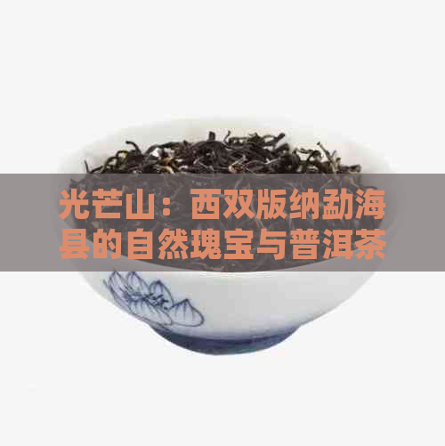 光芒山：西双版纳勐海县的自然瑰宝与普洱茶文化的交融之地