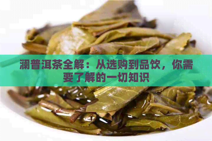 澜普洱茶全解：从选购到品饮，你需要了解的一切知识