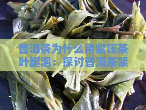 普洱茶为什么用紧压茶叶罐泡：探讨普洱茶紧压制作及泡法原因