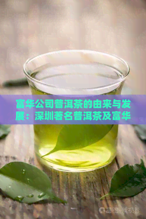 富华公司普洱茶的由来与发展：深圳著名普洱茶及富华普洱茶砖