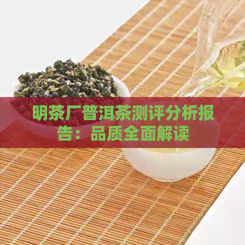 明茶厂普洱茶测评分析报告：品质全面解读