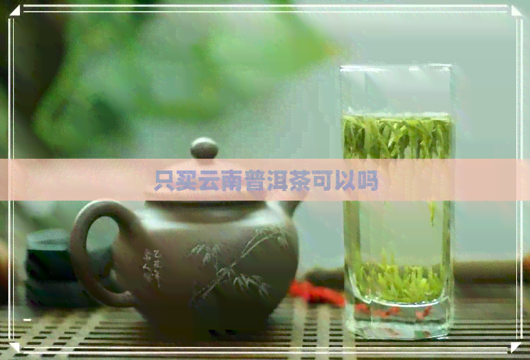 只买云南普洱茶可以吗