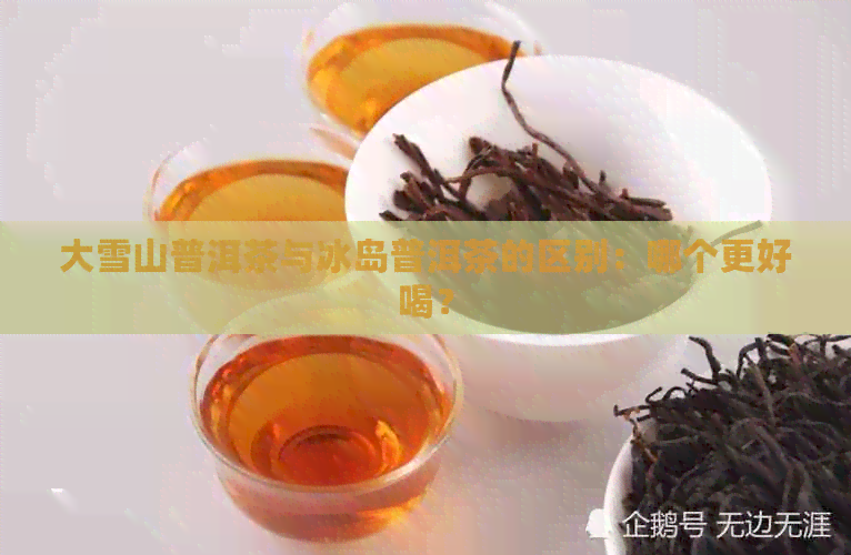 大雪山普洱茶与冰岛普洱茶的区别：哪个更好喝？