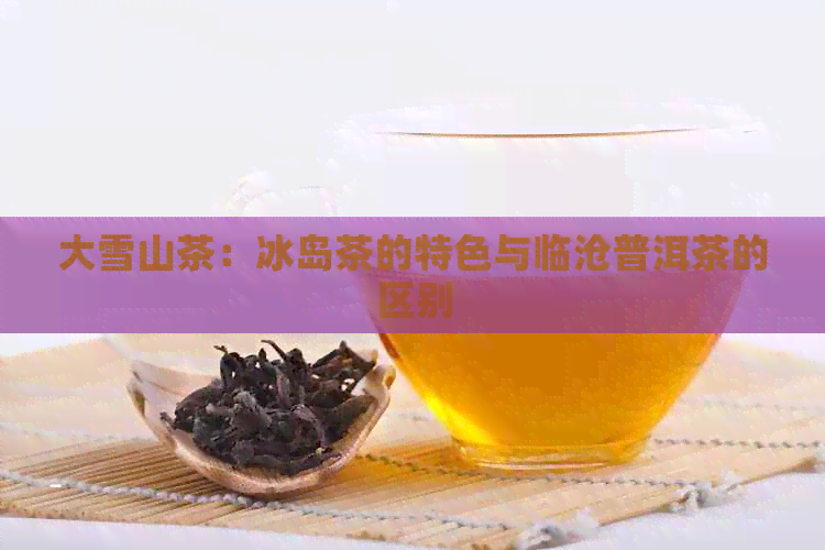 大雪山茶：冰岛茶的特色与临沧普洱茶的区别