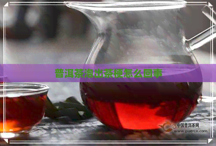 普洱茶泡出茶梗怎么回事