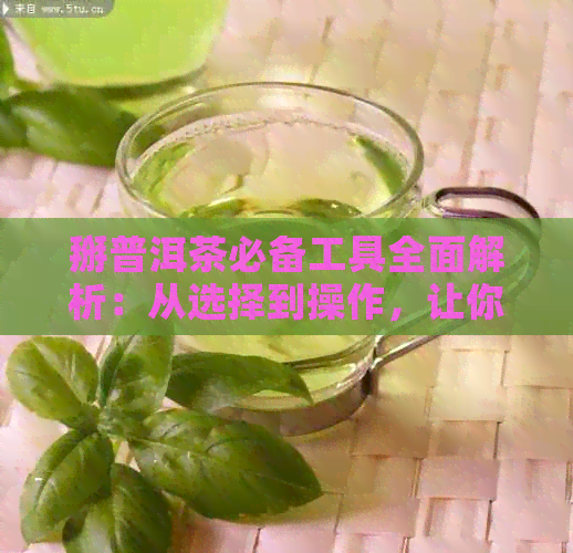 掰普洱茶必备工具全面解析：从选择到操作，让你轻松掌握泡茶技巧