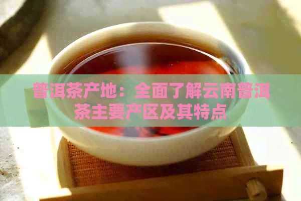 普洱茶产地：全面了解云南普洱茶主要产区及其特点