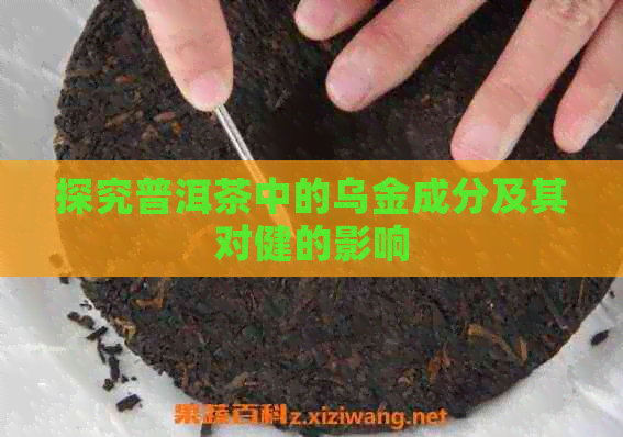 探究普洱茶中的乌金成分及其对健的影响