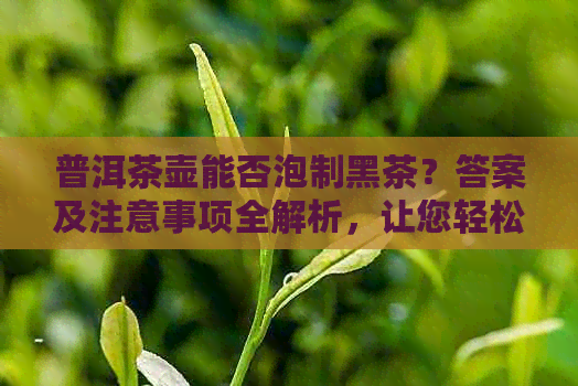 普洱茶壶能否泡制黑茶？答案及注意事项全解析，让您轻松掌握泡茶技巧！