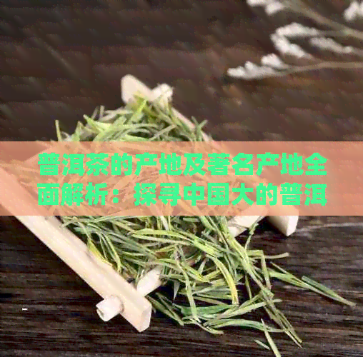 普洱茶的产地及著名产地全面解析：探寻中国大的普洱茶产区