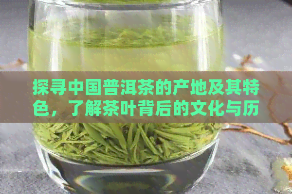 探寻中国普洱茶的产地及其特色，了解茶叶背后的文化与历