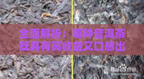 全面解析：哪种普洱茶既具有高收益又口感出众？揭秘市场热门与潜力品种