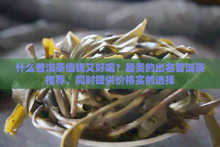 什么普洱茶值钱又好喝？最贵的出名普洱茶推荐，同时提供价格实的选择