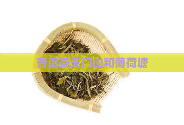 普洱茶天门山和薄荷塘