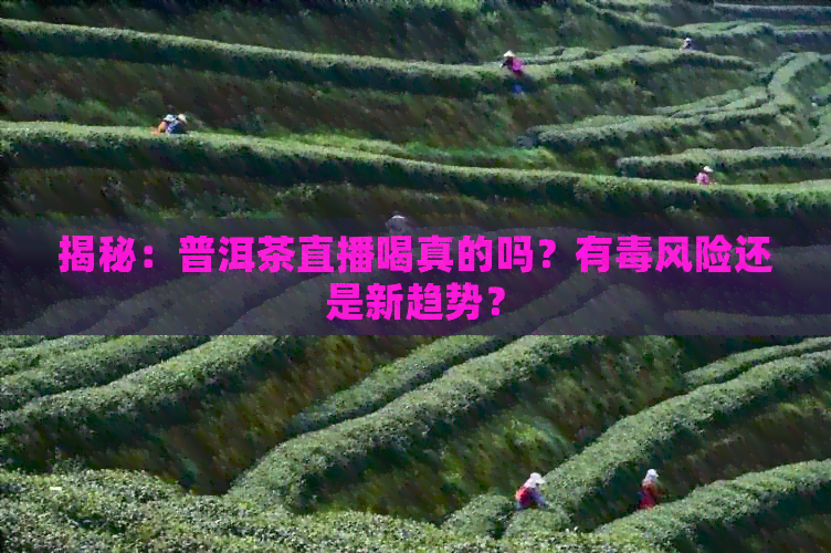 揭秘：普洱茶直播喝真的吗？有风险还是新趋势？