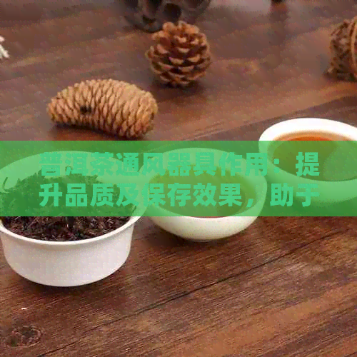 普洱茶通风器具作用：提升品质及保存效果，助于健生活