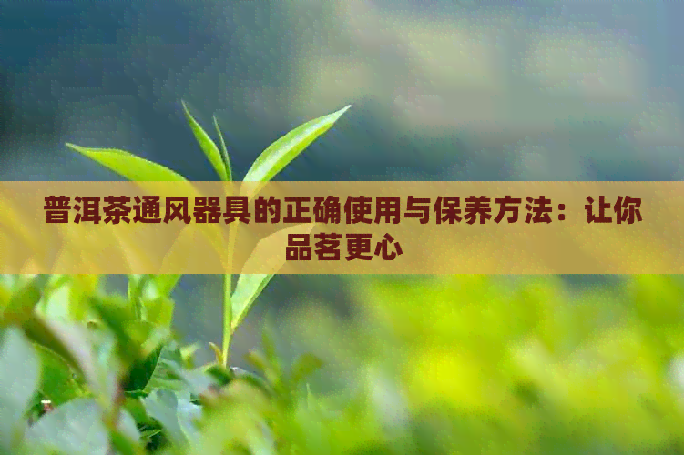 普洱茶通风器具的正确使用与保养方法：让你品茗更心