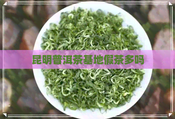 昆明普洱茶基地假茶多吗