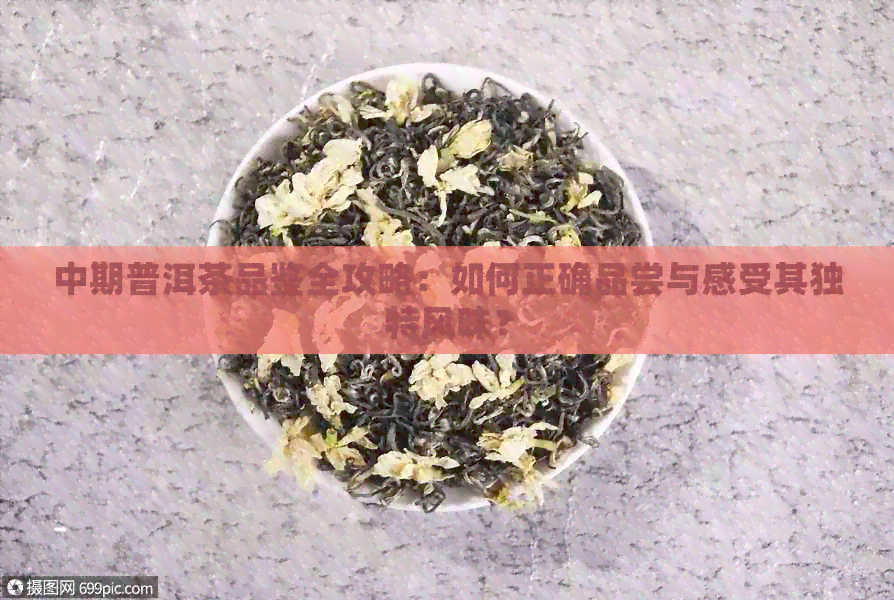 中期普洱茶品鉴全攻略：如何正确品尝与感受其独特风味？