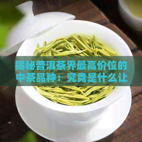 揭秘普洱茶界更高价位的中茶品种：究竟是什么让它如此珍贵？