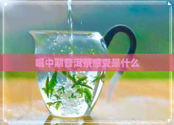 喝中期普洱茶感受是什么