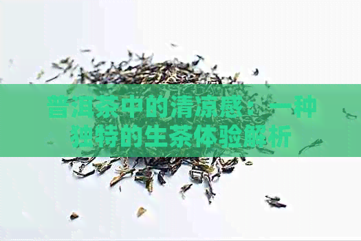 普洱茶中的清凉感：一种独特的生茶体验解析